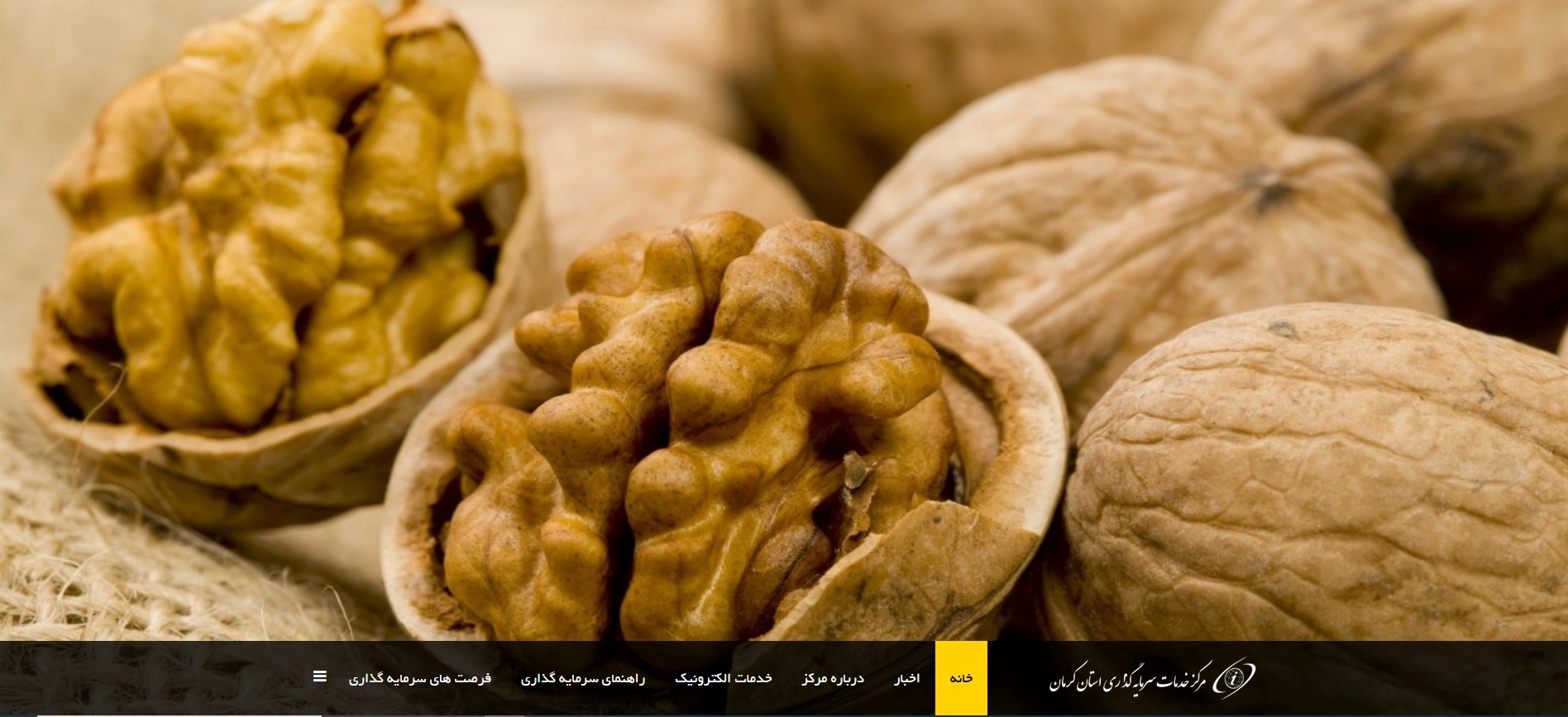 سایت ستاد سرمایه گذاری استان کرمان